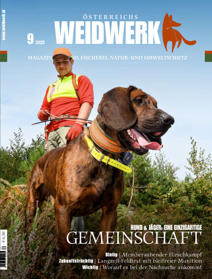 WEIDWERK