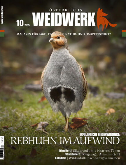WEIDWERK