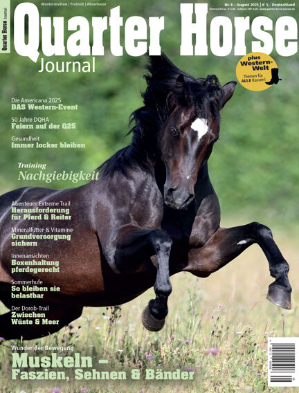 Quarter Horse Journal