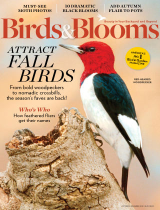 Animals & Equestrian