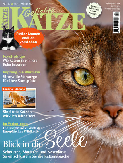 Geliebte Katze