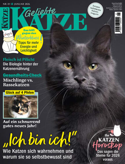 Geliebte Katze