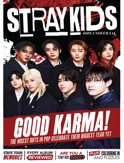 K-Pop Superstars: Stray Kids