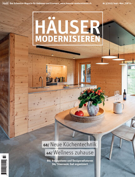Häuser modernisieren
