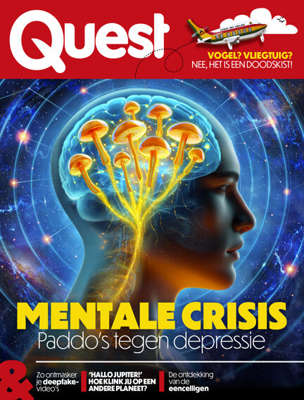 Onderwijs & Tutorials