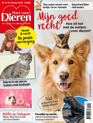 Dieren & Ruiters