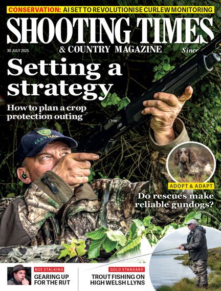 Hunting & Fishing
