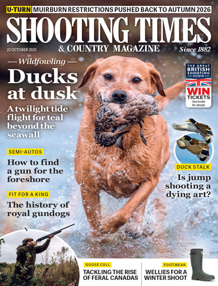 Hunting & Fishing