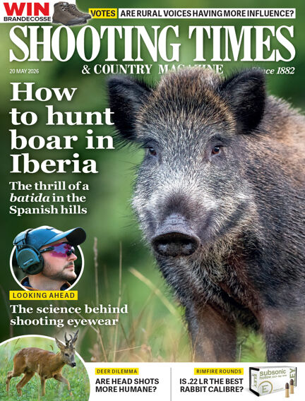 Hunting & Fishing