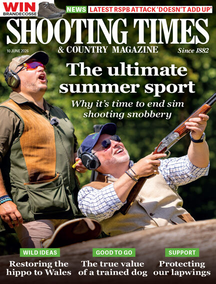 Hunting & Fishing