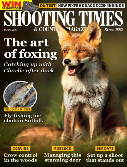 Hunting & Fishing