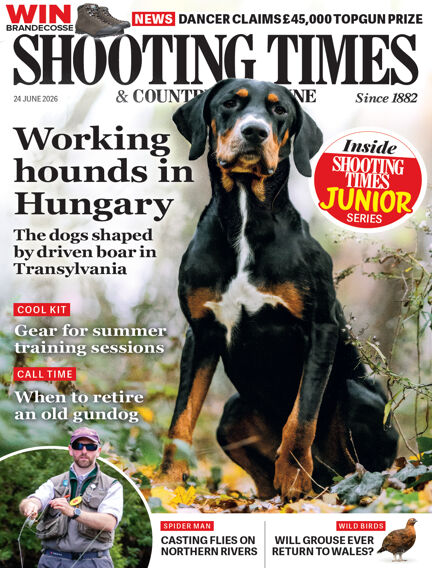 Hunting & Fishing