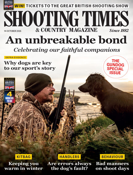 Hunting & Fishing