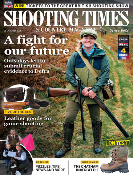 Hunting & Fishing
