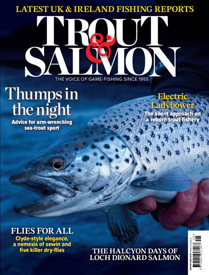 Trout & Salmon