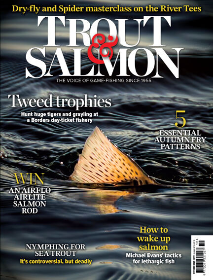 Trout & Salmon