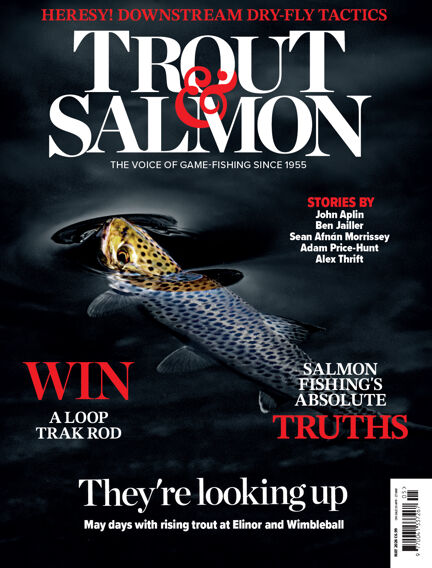 Trout & Salmon