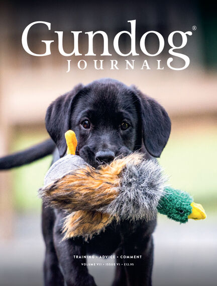 Gundog Journal