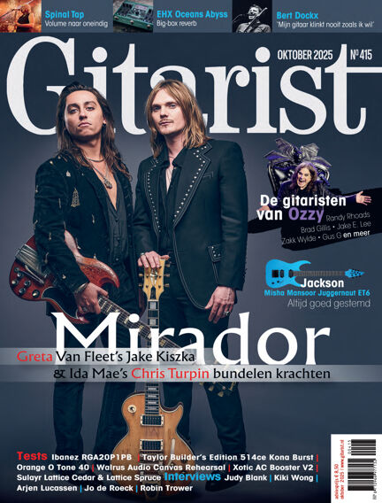 Gitarist
