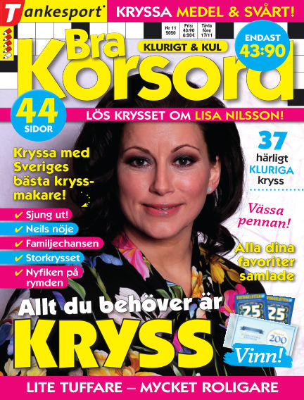 passar mindre bra korsord passar mindre bra korsord