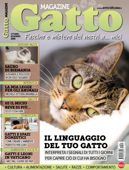 Gatto Magazine