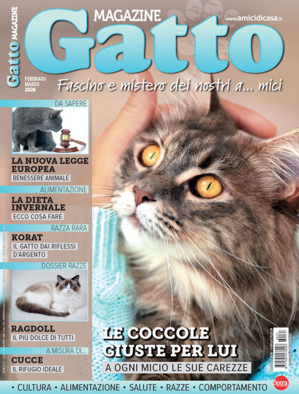 Gatto Magazine