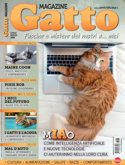 Gatto Magazine