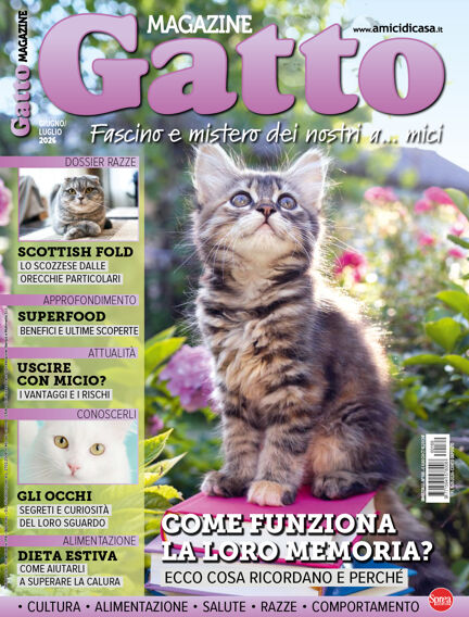 Gatto Magazine
