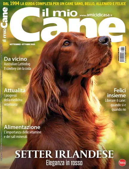 Il Mio Cane