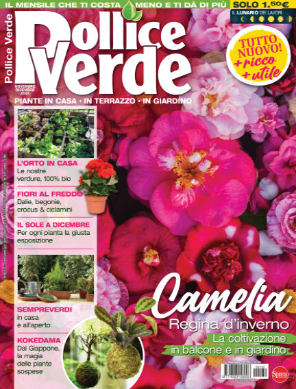 31+ Lunario Per Orto seminare con luna