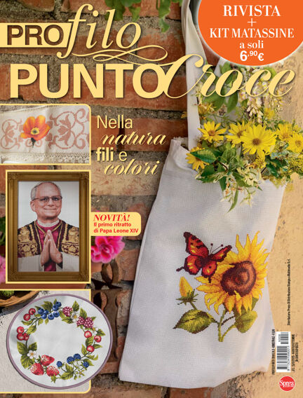 Profilo Punto Croce