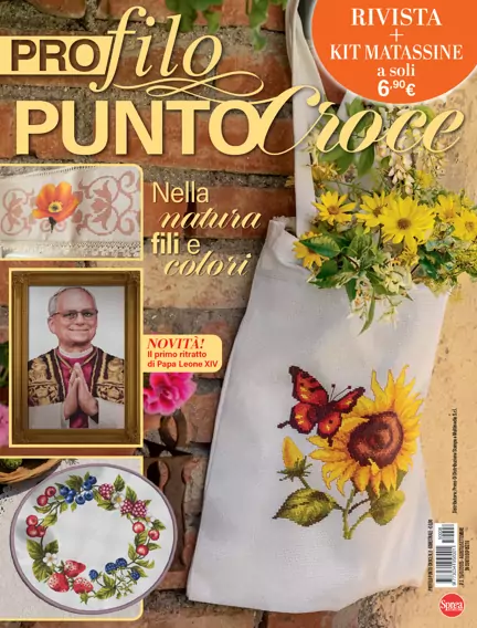 Profilo Punto Croce
