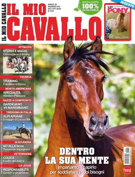 Il Mio Cavallo