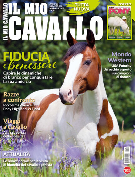 Il Mio Cavallo