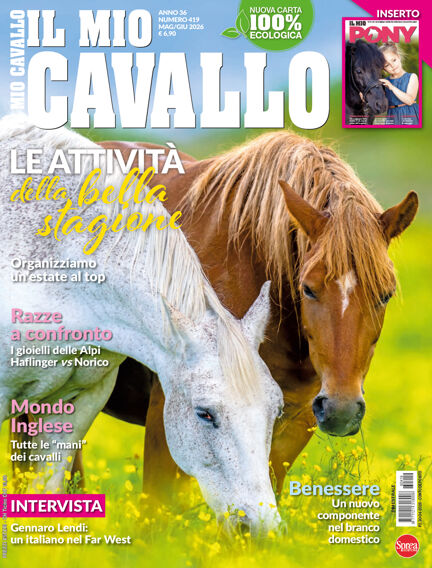 Il Mio Cavallo