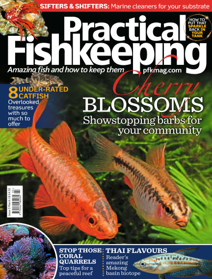 Fish Magazine Examples 17 January, 2018 - Practical Fishkeeping Magazine - 1000's of magazines ...