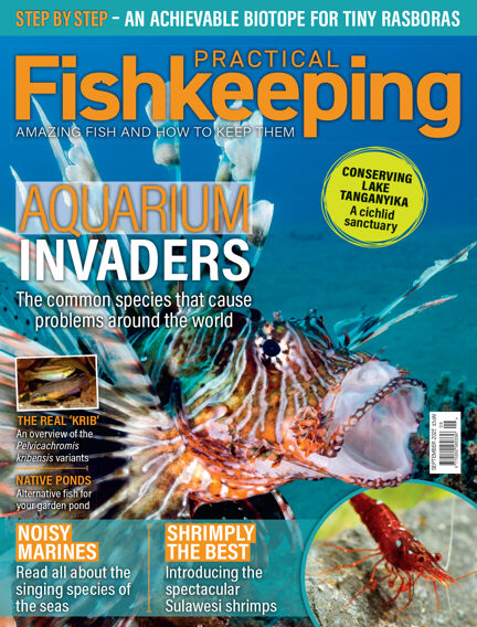 Practical Fishkeeping