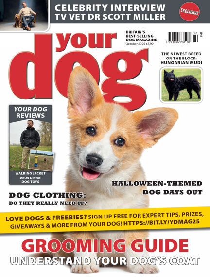 Your Dog Magazine