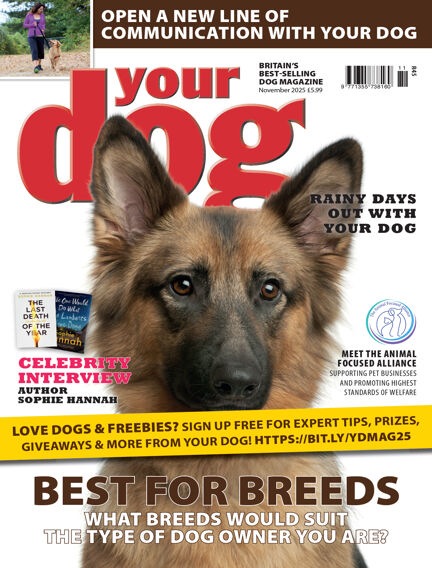 Your Dog Magazine