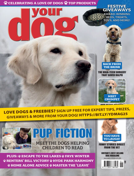 Your Dog Magazine