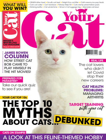 Read Your Cat Magazine magazine on Readly - the ultimate magazine ...
