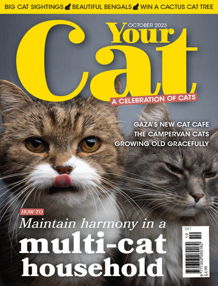 Page 1 - Your Cat Magazine - 1000's of magazines in one app