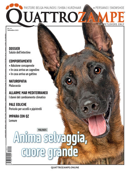 Quattrozampe