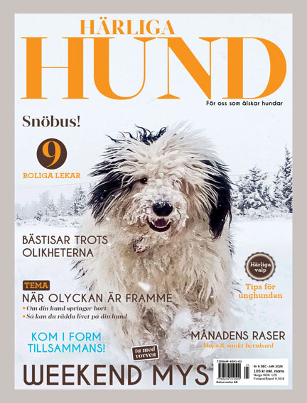 Härliga Hund