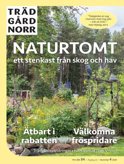 Trädgård Norr