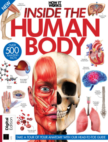 Read How It Works Inside The Human Body Magazine On Readly The Ultimate Magazine Subscription 1000 S Of Magazines In One App