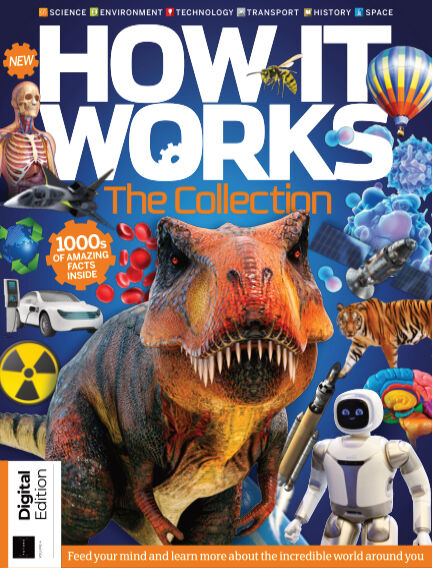 How It Works The Collection