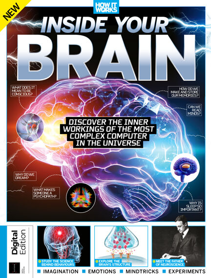 Inside Your Brain