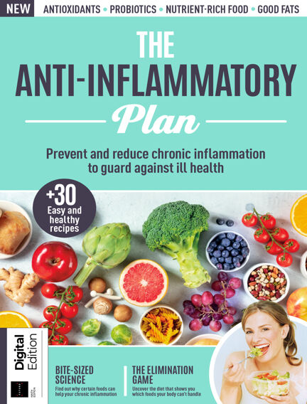 The Anti-Inflammatory Plan