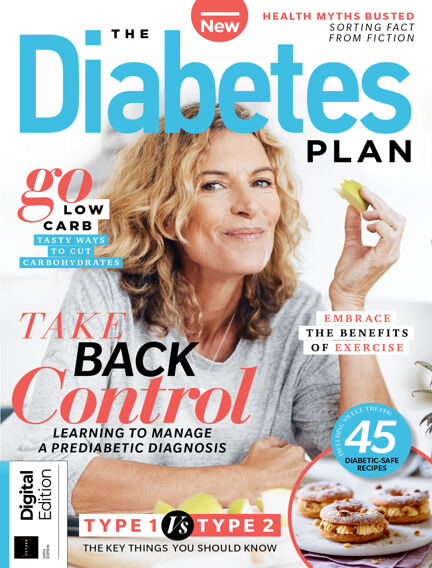 The Diabetes Plan